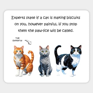 Experts state if a cat is making biscuits - funny watercolour cat design Magnet